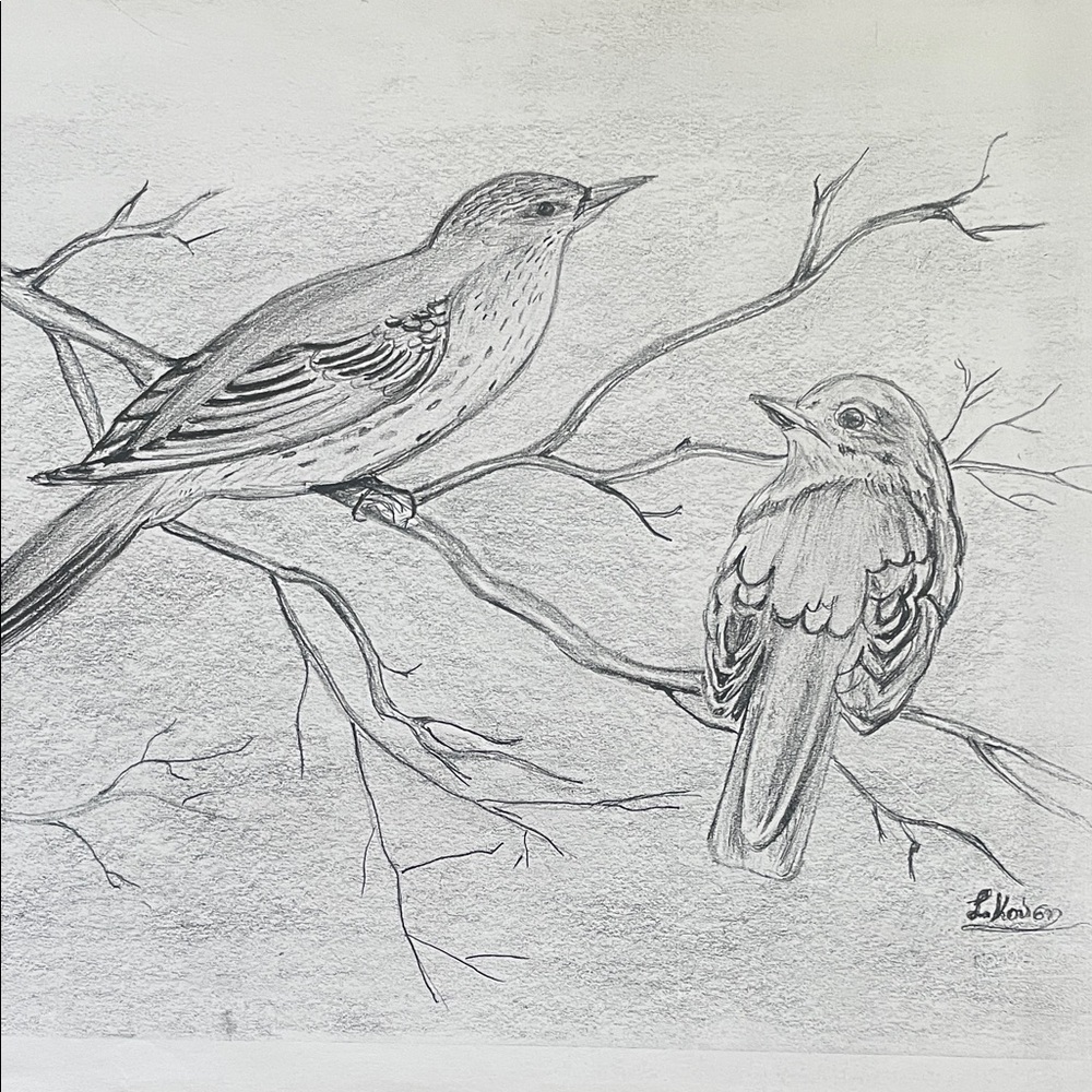 Bird Sketch Art Print Signed By Artist L Kousy
